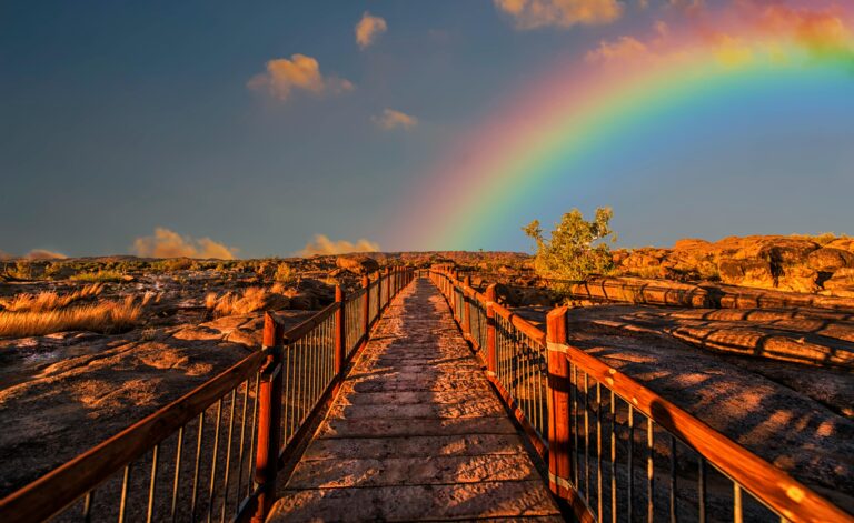 ponte arcobaleno leggenda per cani e gatti